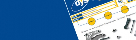 New DYS website